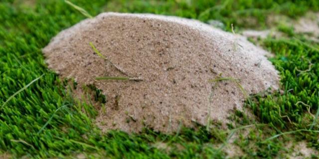 Silica Sand Supplier