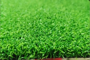 What Are The Applications Of Sports Grass?